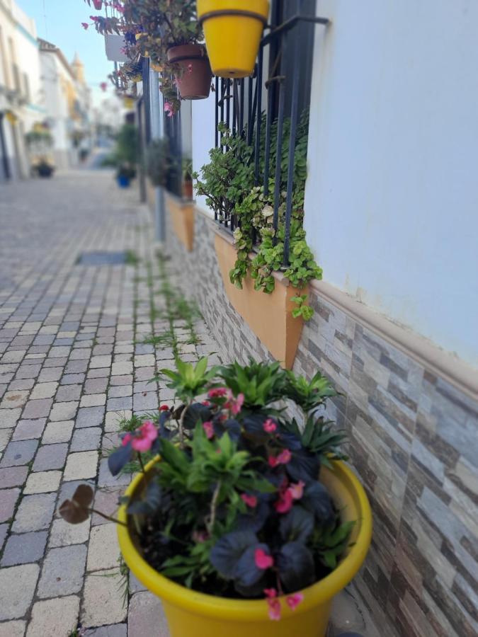 Apartamento En Casco Historico 埃斯特波纳 外观 照片