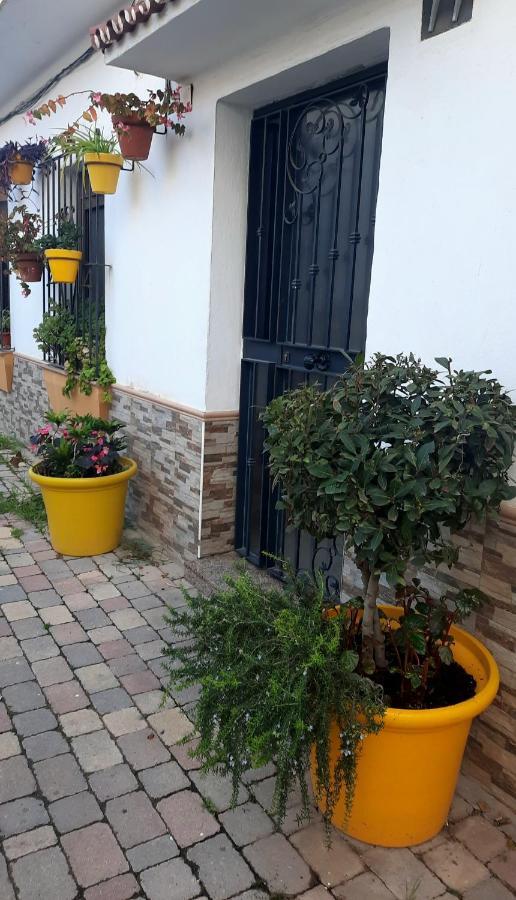 Apartamento En Casco Historico 埃斯特波纳 外观 照片